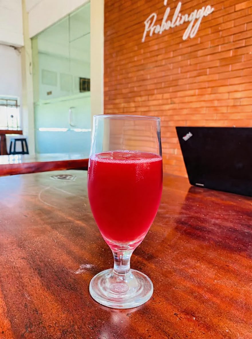 Jus Jambu